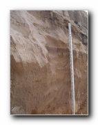 Click to enlarge this image